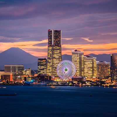 Holland America Cruise Ship